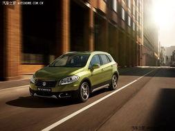 国产在线s,探索本土原创内容新篇章